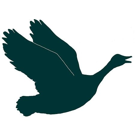 The Honking Goose Inn Amsterdam ภายนอก รูปภาพ